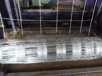 草原牛欄網 草原牛欄網