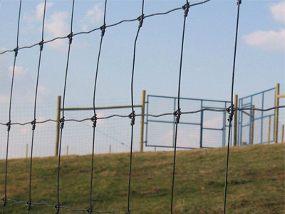 草原圍欄網(wǎng) 草原圍欄網(wǎng)